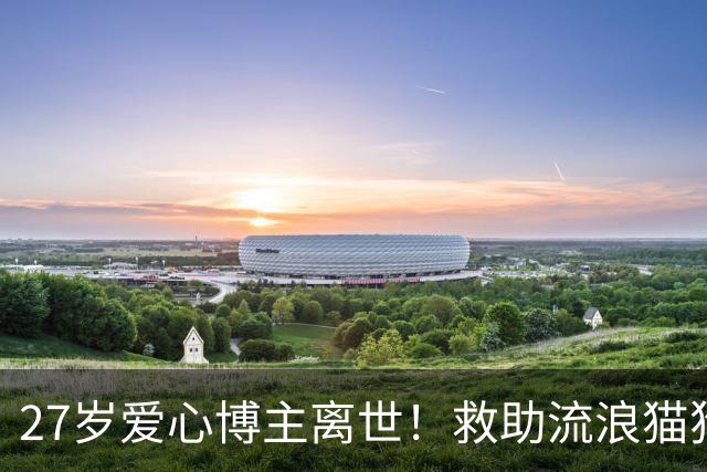 27岁爱心博主离世！救助流浪猫狗感染罕见真菌，ICU抢救22天，丈夫：她在我眼里没有缺点